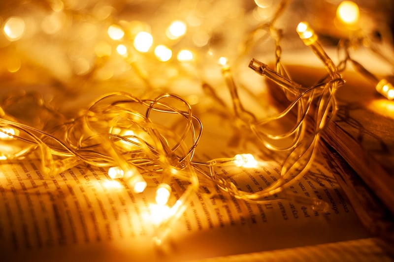 Fairy lights wedding decoration